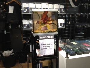 Fisk i Wagner
